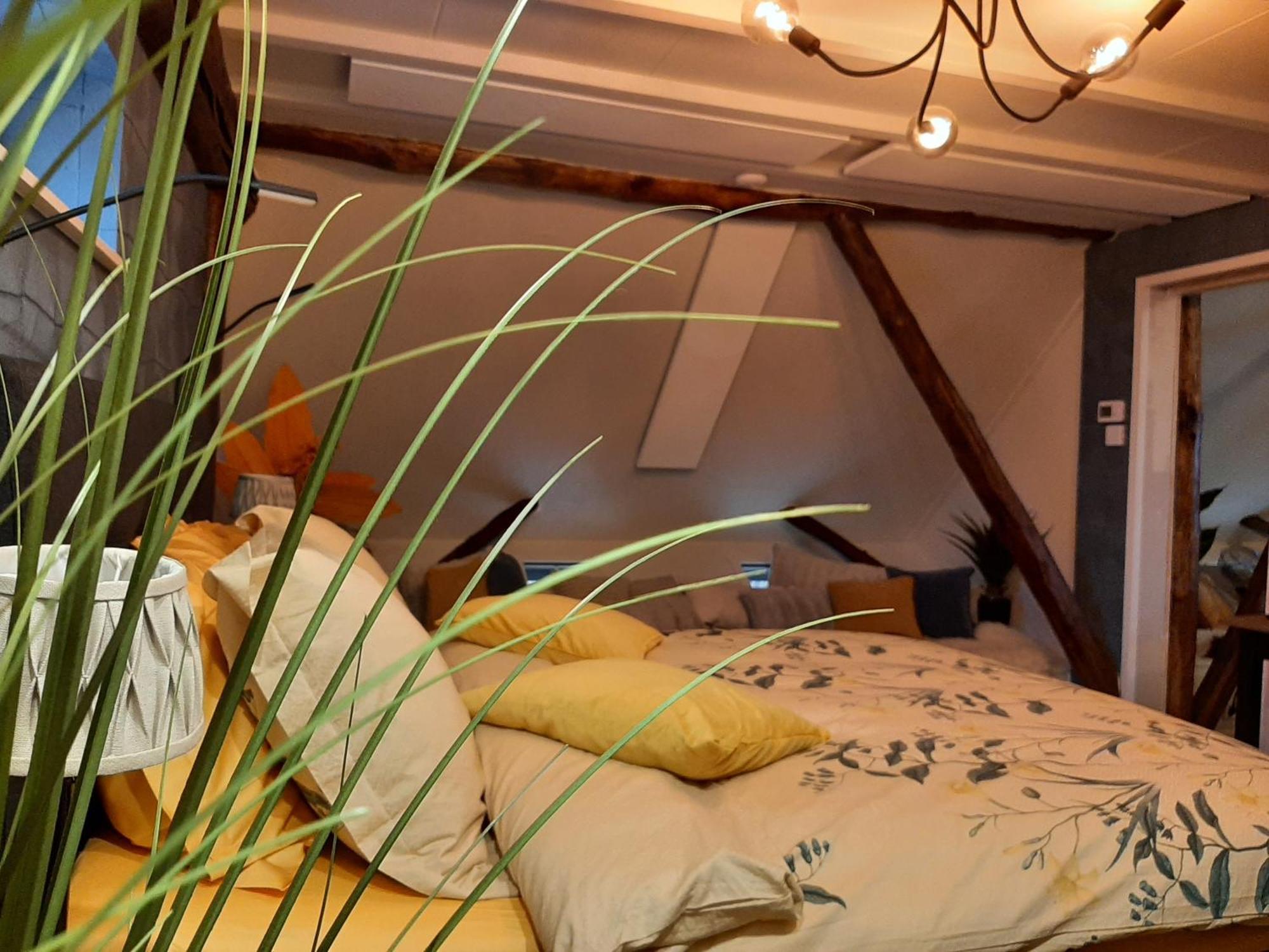 Loft De Hooizolder Met Sauna Bij Te Boeken Gees Zewnętrze zdjęcie